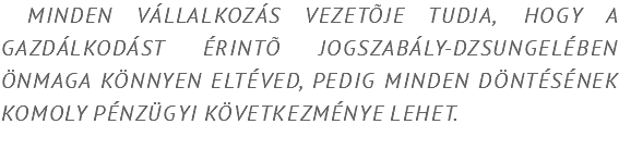  Minden vállalkozás vezetõje tudja, hogy a gazdálkodást érintõ jogszabály-dzsungelében önmaga könnyen eltéved, pedig minden döntésének komoly pénzügyi következménye lehet. 